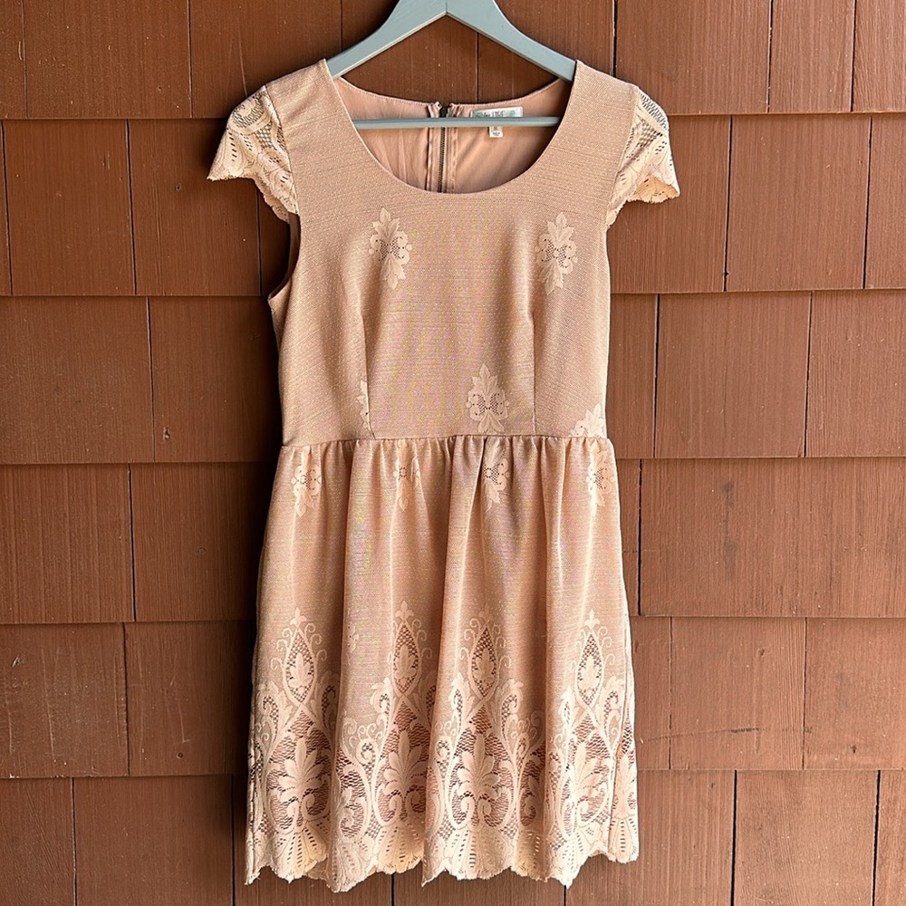 Love Fire Dusty Rose Pink Lace Mesh Dress- Size Medium